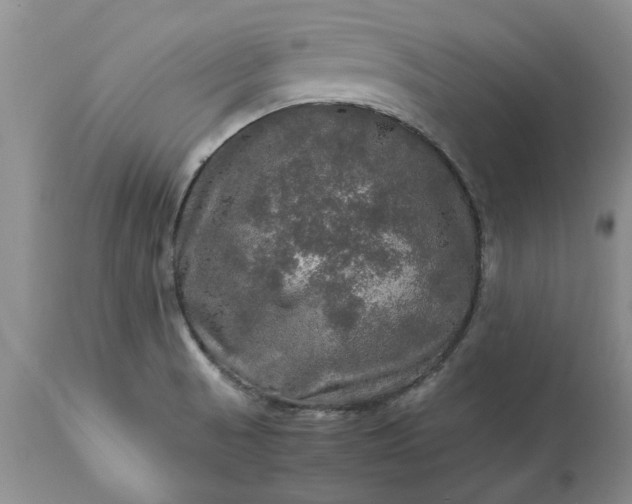 X0000113601521200910021729