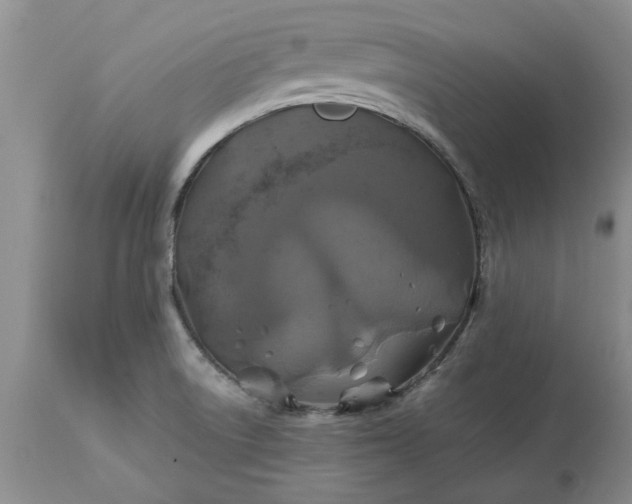 X0000113601522200910021729