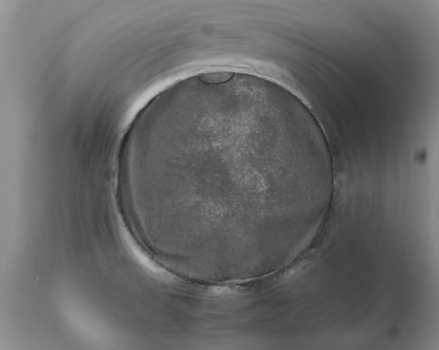 X0000113601523200910021729