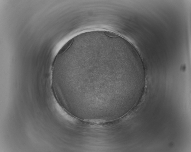 X0000113601524200910021729