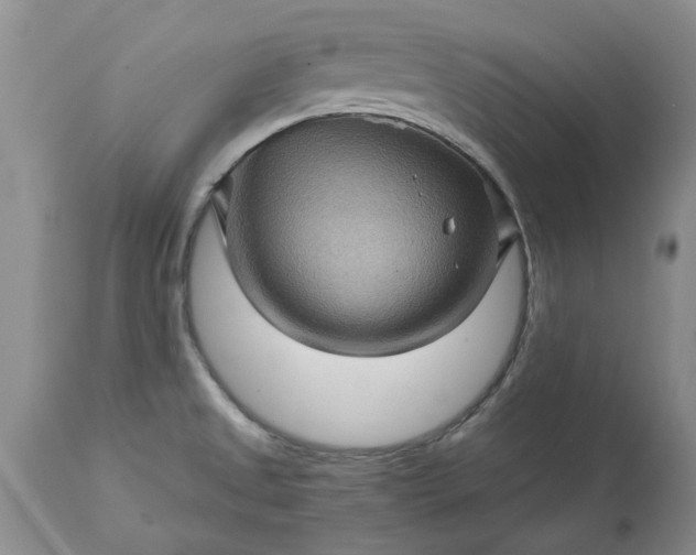 X0000113601525200910021729