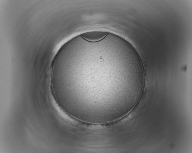 X0000113601526200910021729