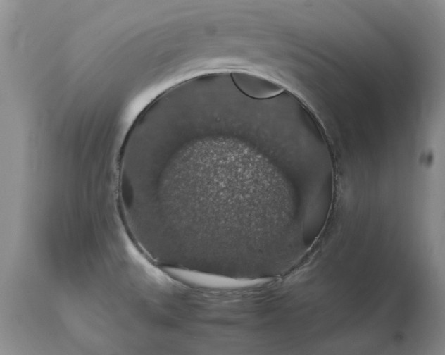 X0000113601527200910021729