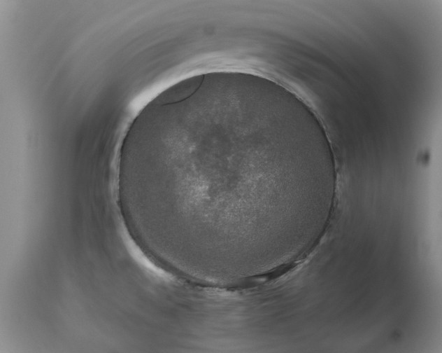 X0000113601528200910021729