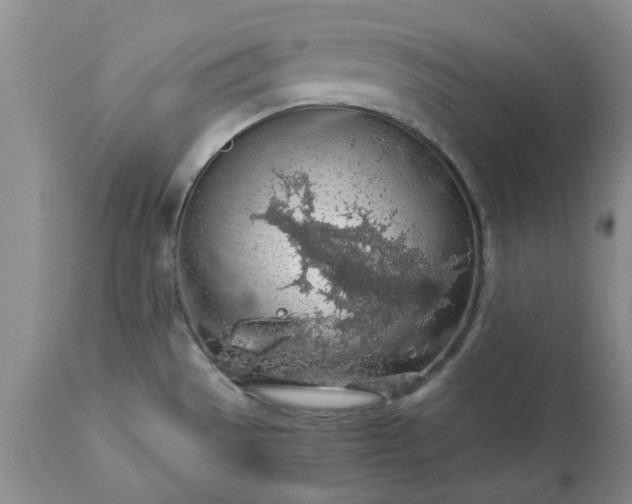 X0000113601529200910021729