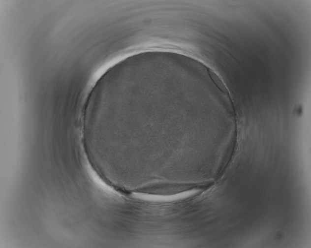 X0000113601531200910021729