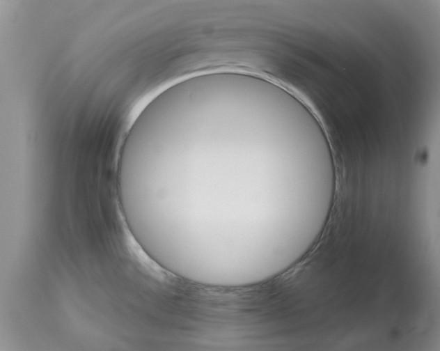 X0000113601532200910021729