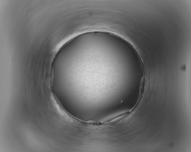 X0000113601534200910021729