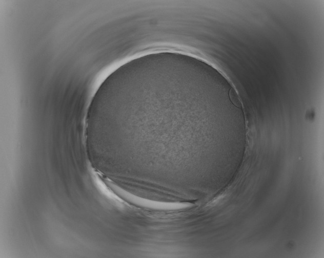 X0000113601535200910021729