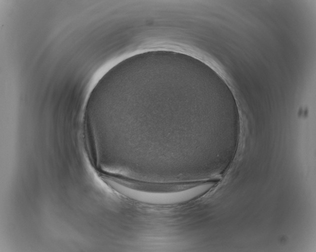 X0000113601536200910021729