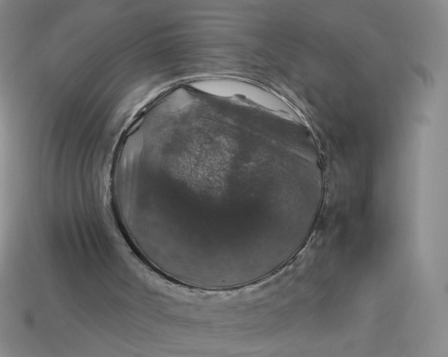 X0000113600002200910091530