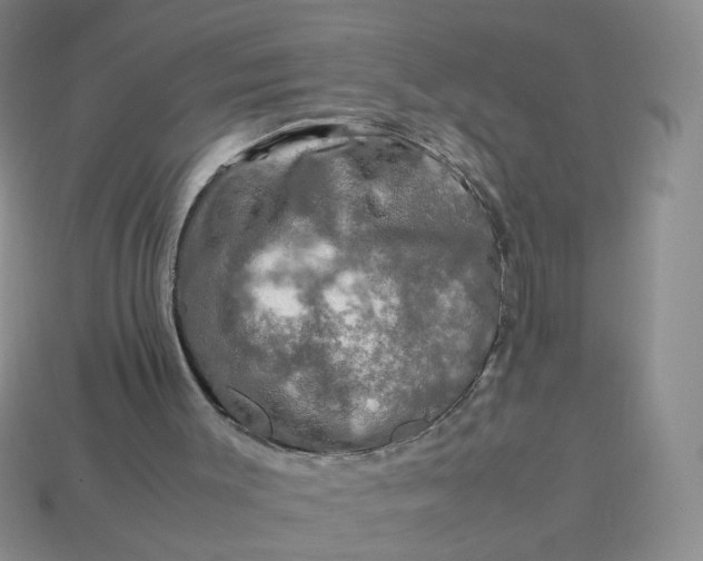 X0000113600003200910091530