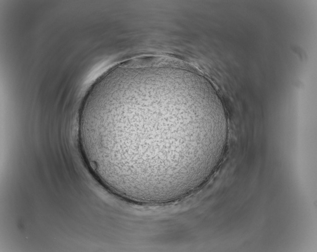 X0000113600005200910091530