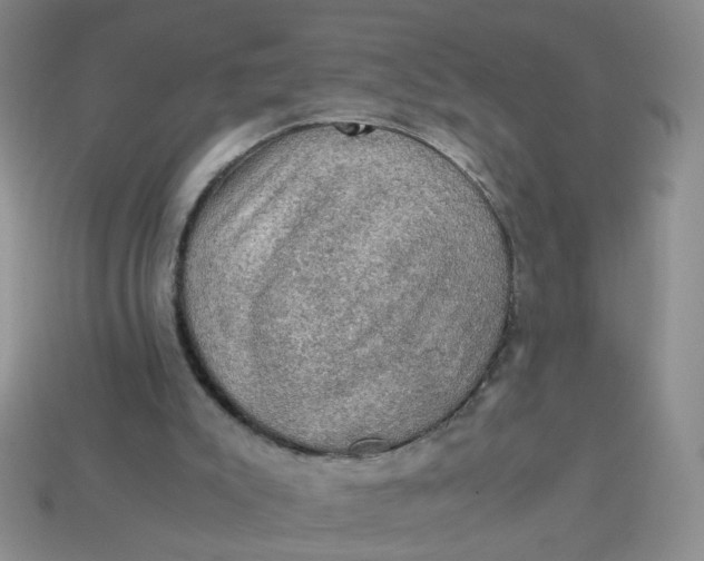 X0000113600007200910091530