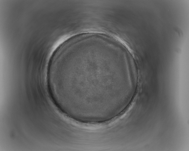 X0000113600008200910091530