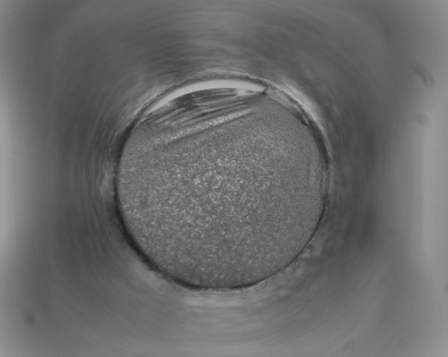 X0000113600009200910091530