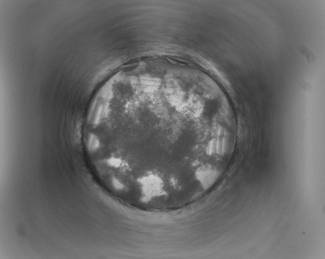 X0000113600010200910091530