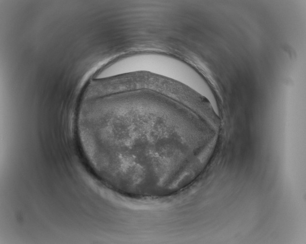 X0000113600012200910091530