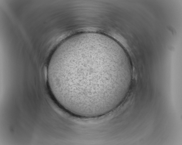 X0000113600013200910091530