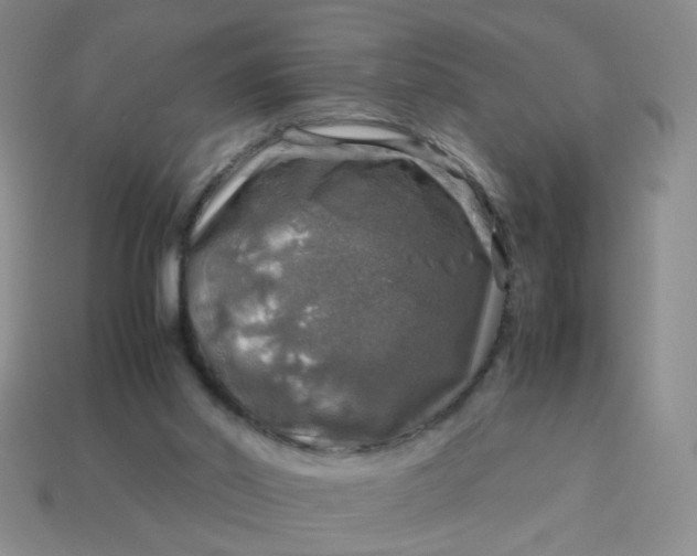 X0000113600014200910091530