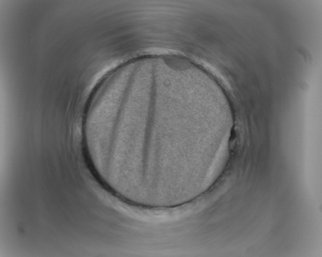 X0000113600015200910091530