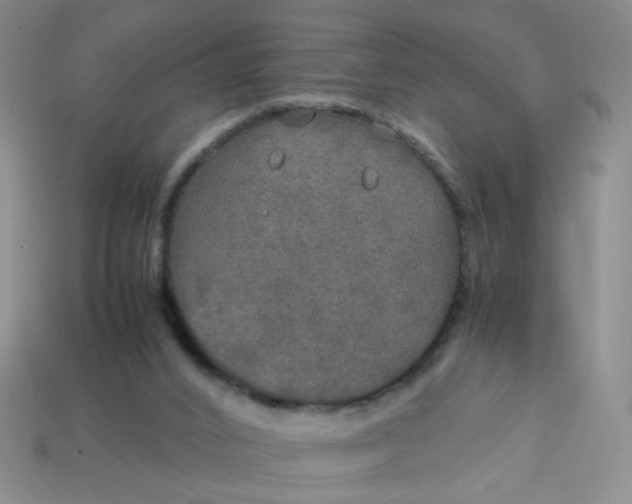 X0000113600016200910091530