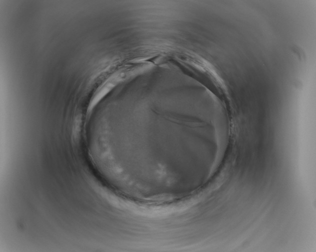 X0000113600018200910091530