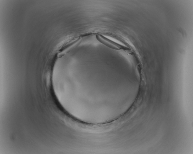 X0000113600019200910091530