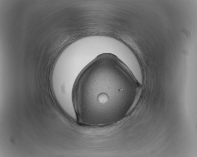 X0000113600021200910091530