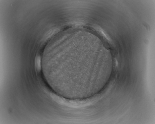 X0000113600022200910091530