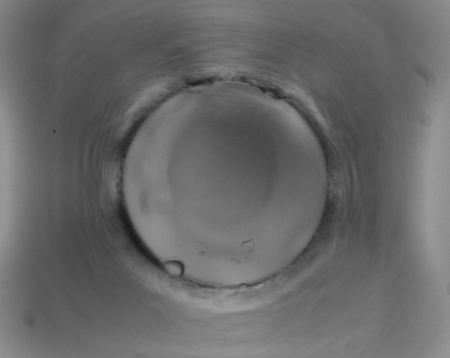 X0000113600023200910091530