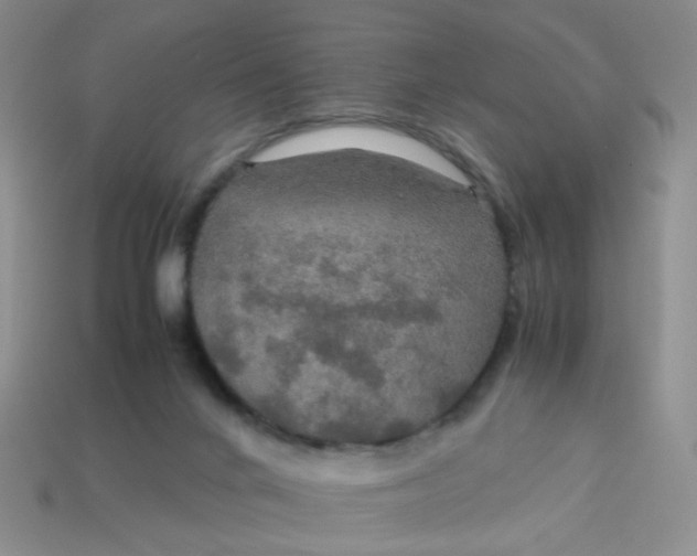 X0000113600024200910091530