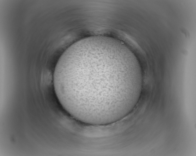 X0000113600025200910091530