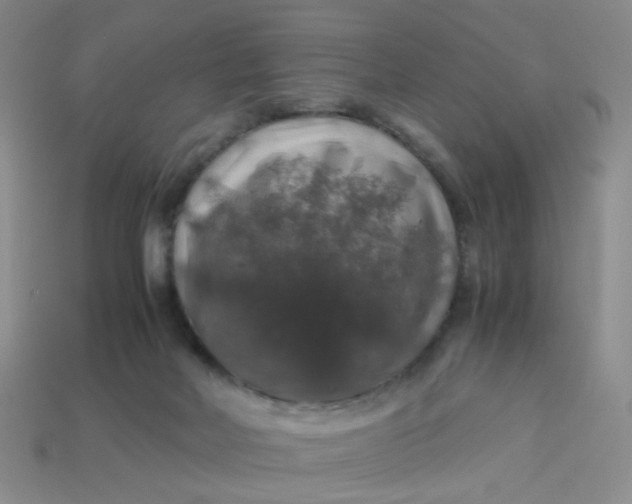 X0000113600026200910091530