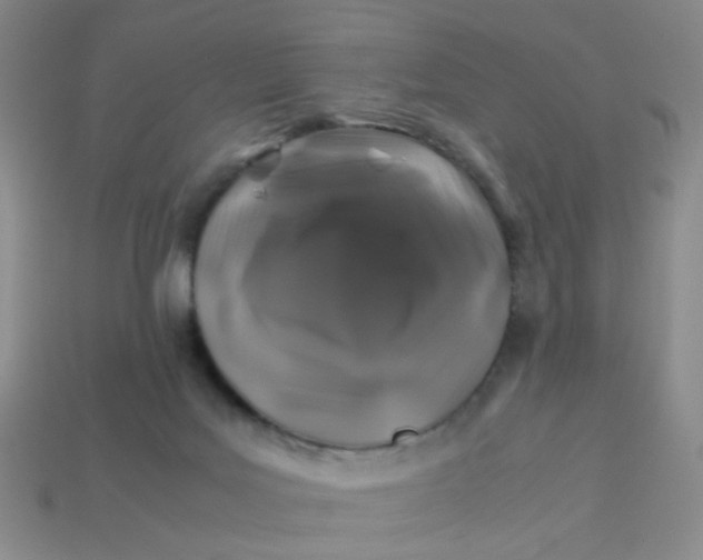 X0000113600027200910091529