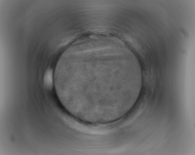 X0000113600028200910091529