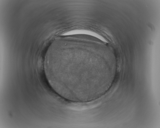 X0000113600029200910091529