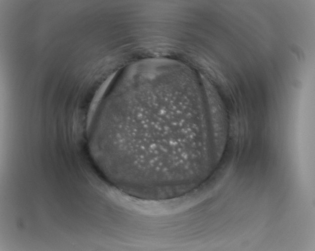 X0000113600030200910091529