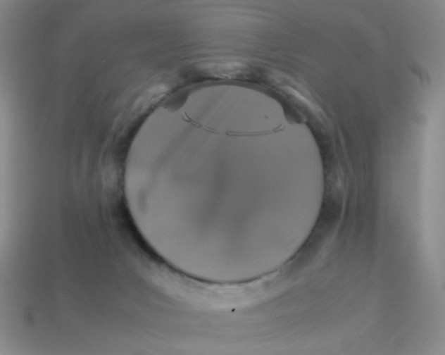 X0000113600031200910091529