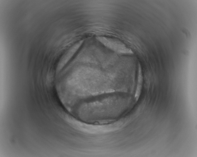 X0000113600034200910091529