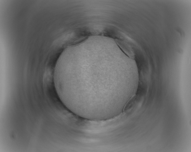 X0000113600037200910091529