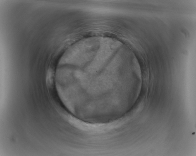 X0000113600038200910091529