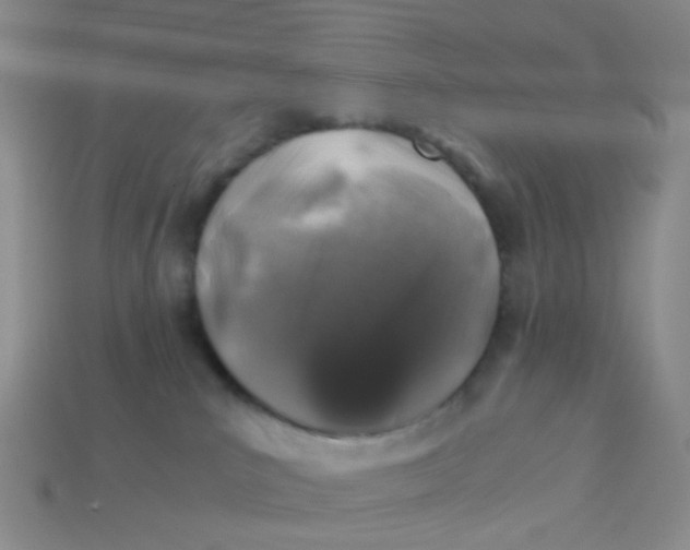 X0000113600039200910091529