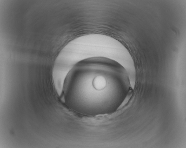 X0000113600041200910091529