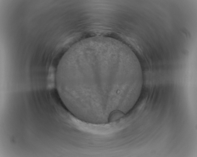 X0000113600042200910091529