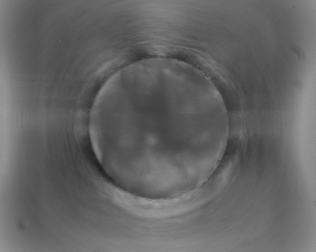 X0000113600043200910091529