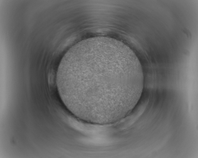 X0000113600044200910091529