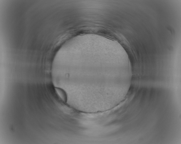 X0000113600045200910091529