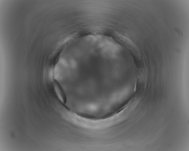 X0000113600047200910091529