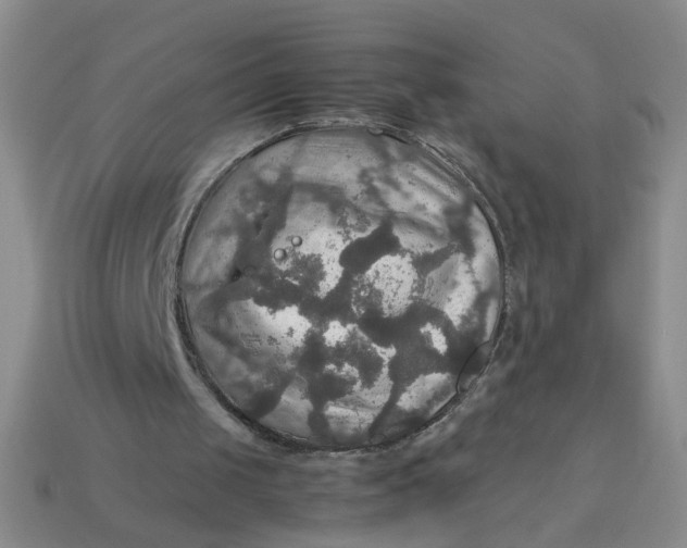 X0000113600049200910091529